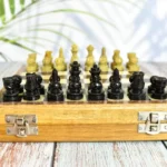 Wooden magnetic chess set India